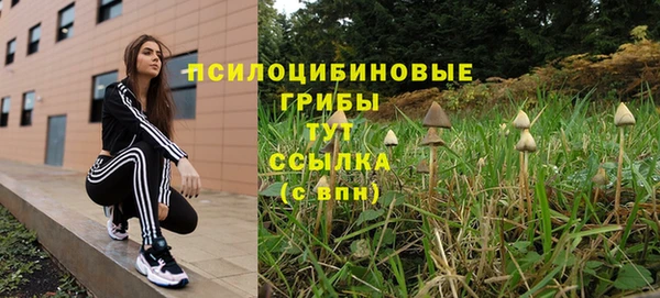 mix Алексин