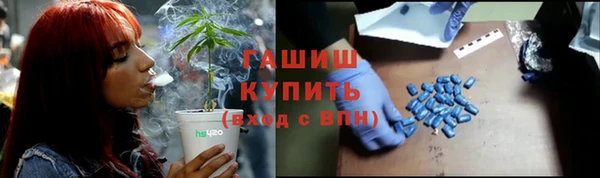 PSILOCYBIN Алзамай