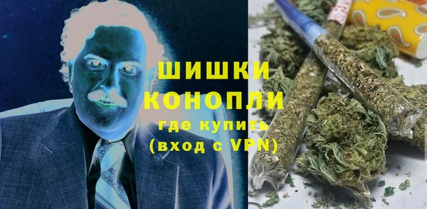 PSILOCYBIN Алзамай
