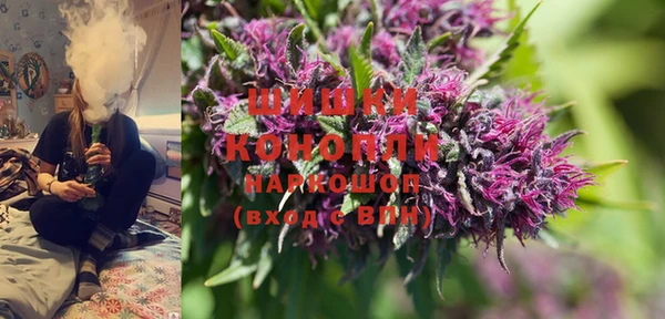 PSILOCYBIN Алзамай