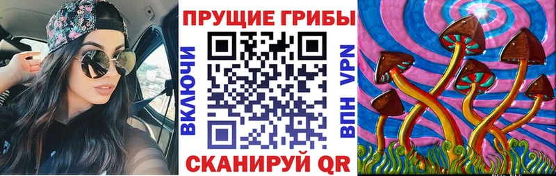 Галлюциногенные грибы Psilocybine cubensis  MEGA как войти  Нижний Тагил 